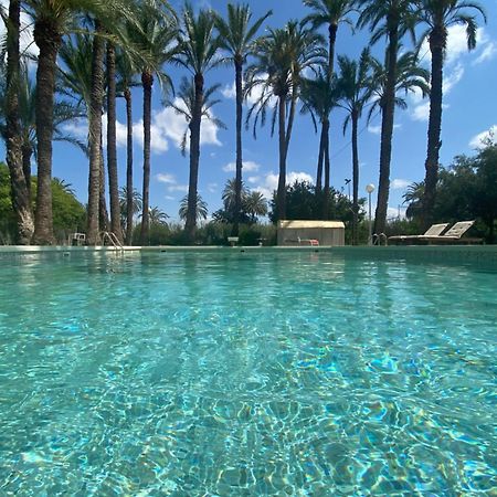 Bed and Breakfast Pink Lemon House Elche Exteriér fotografie