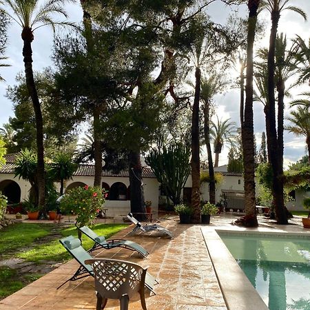 Bed and Breakfast Pink Lemon House Elche Exteriér fotografie