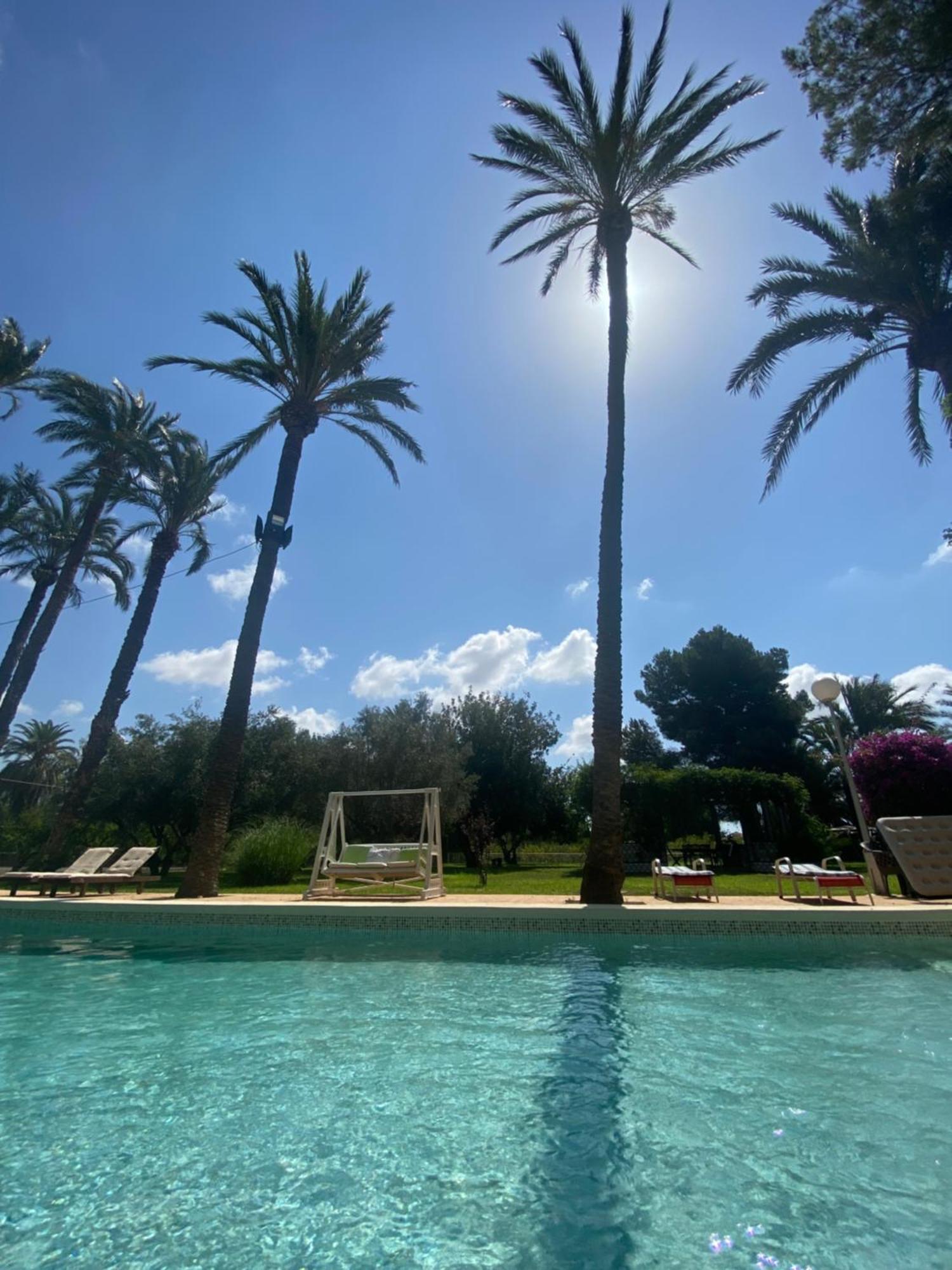 Bed and Breakfast Pink Lemon House Elche Exteriér fotografie
