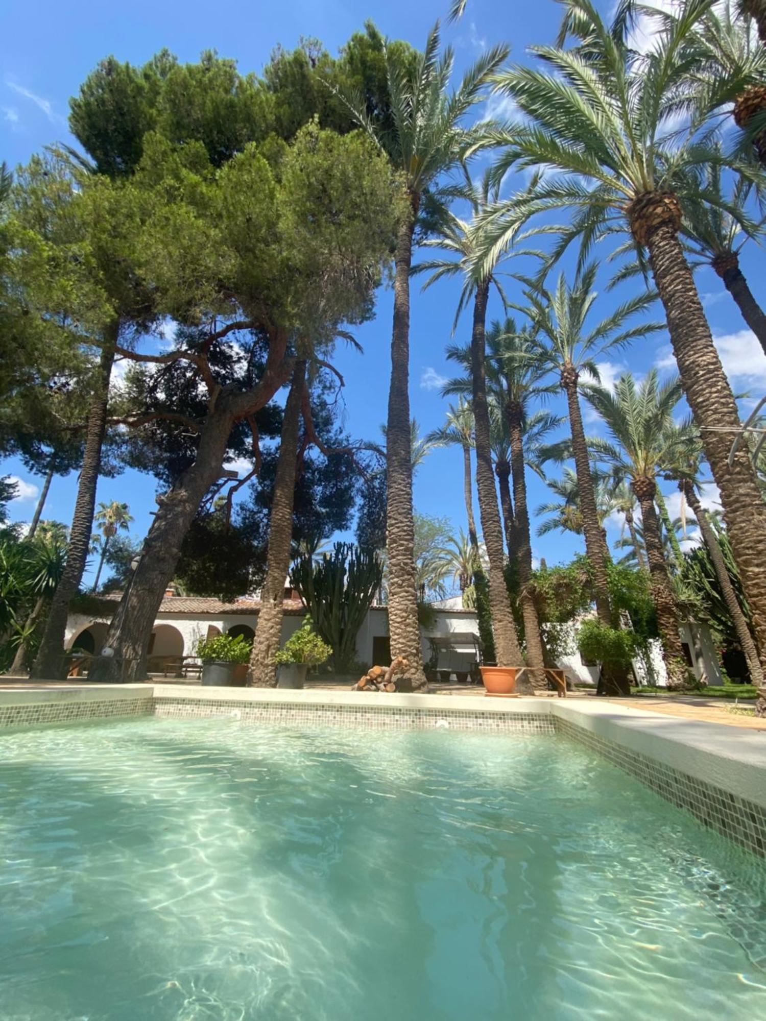 Bed and Breakfast Pink Lemon House Elche Exteriér fotografie