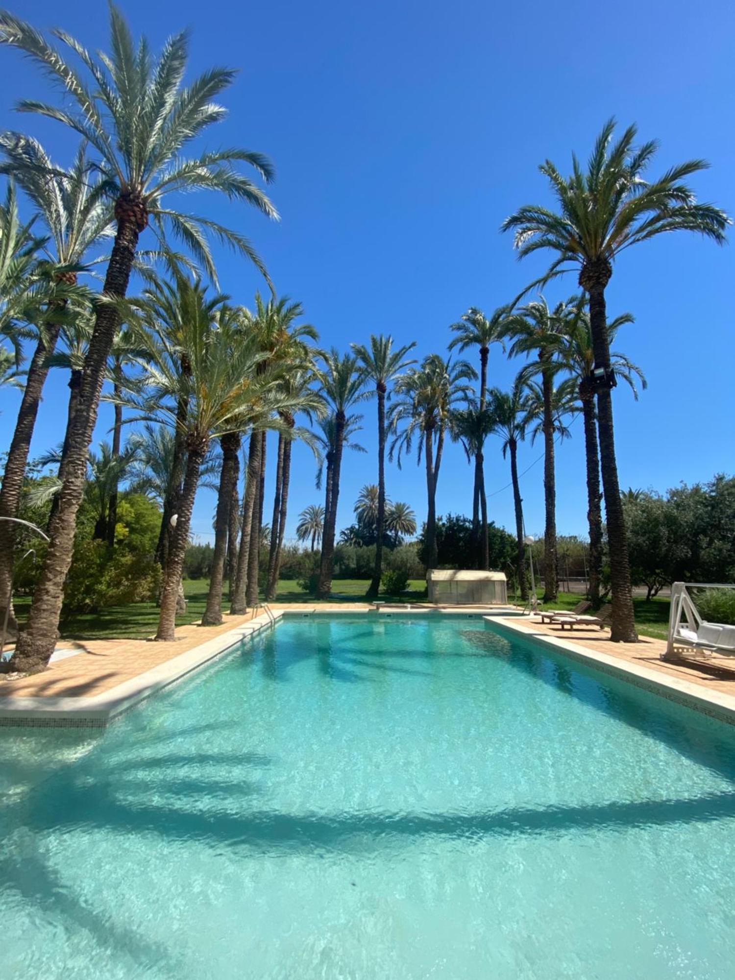 Bed and Breakfast Pink Lemon House Elche Exteriér fotografie