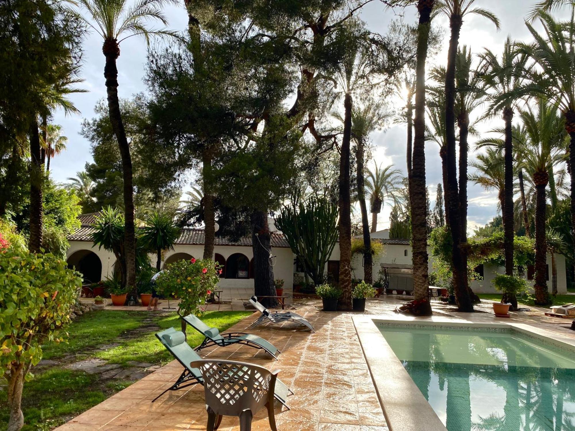 Bed and Breakfast Pink Lemon House Elche Exteriér fotografie