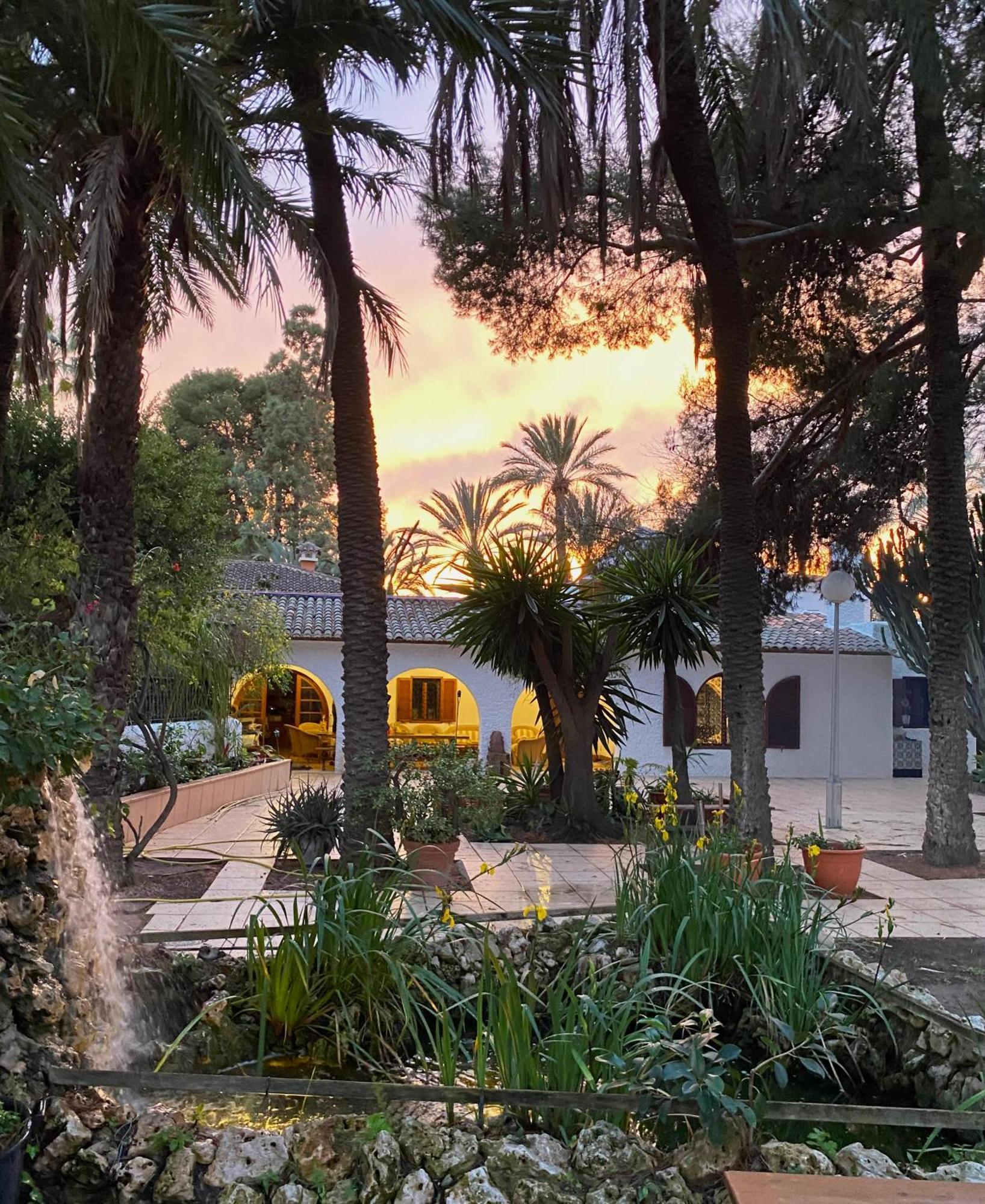 Bed and Breakfast Pink Lemon House Elche Exteriér fotografie