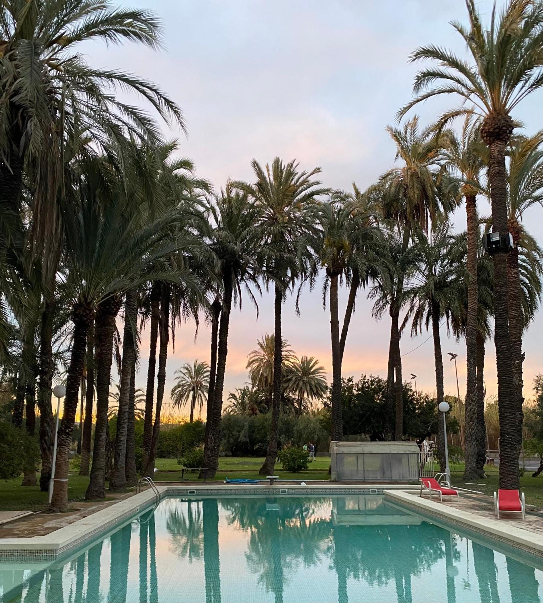 Bed and Breakfast Pink Lemon House Elche Exteriér fotografie