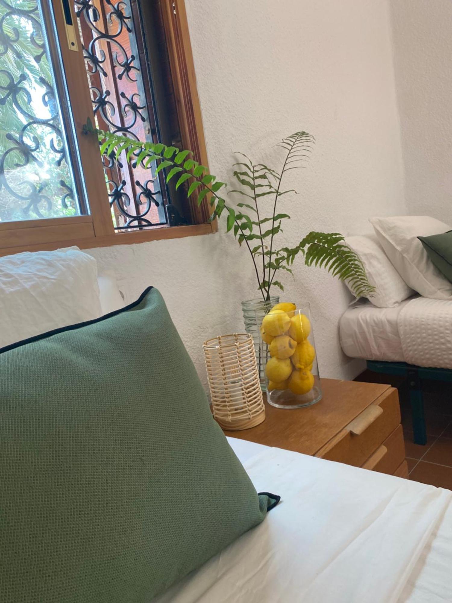 Bed and Breakfast Pink Lemon House Elche Exteriér fotografie