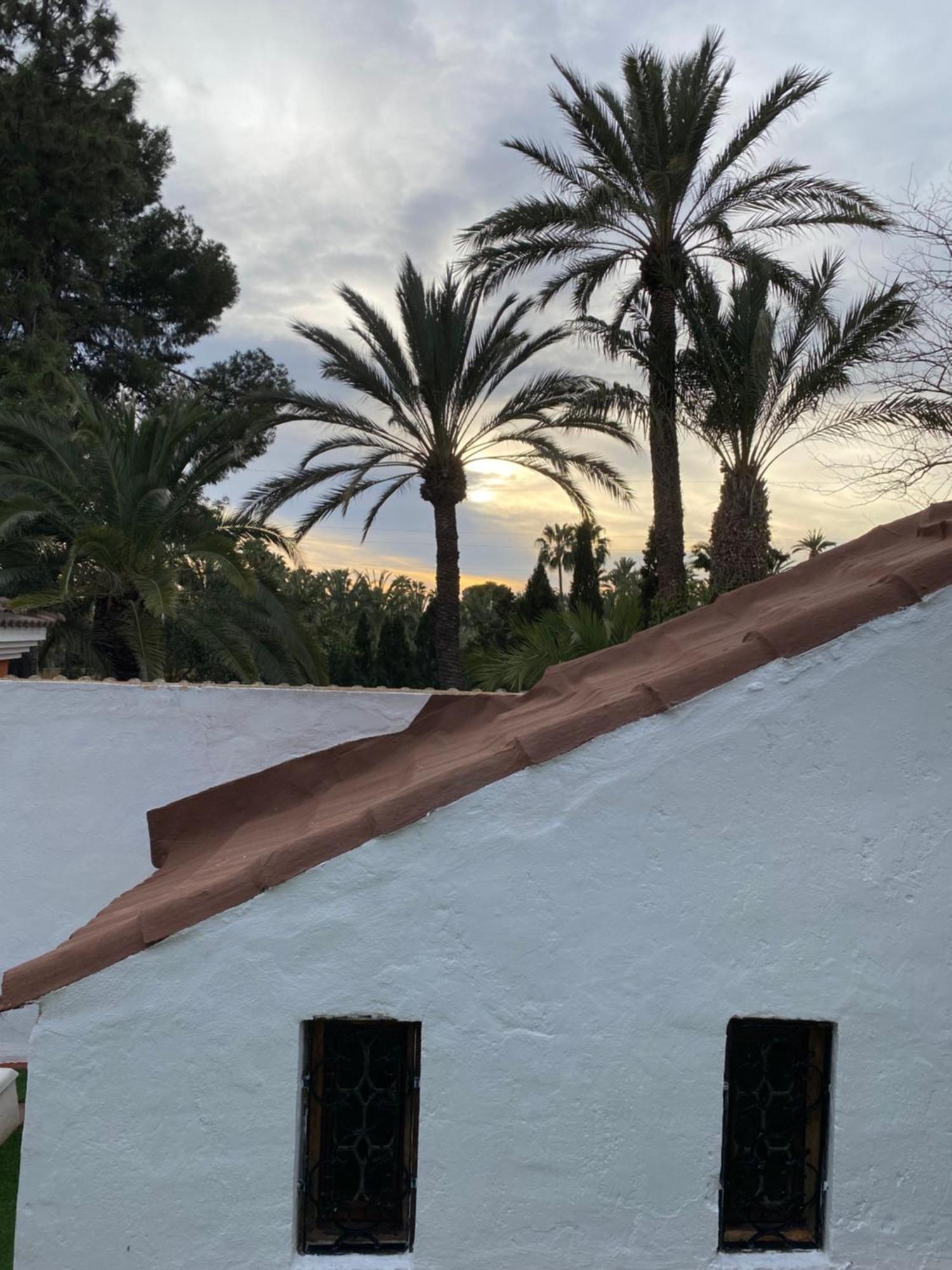Bed and Breakfast Pink Lemon House Elche Exteriér fotografie