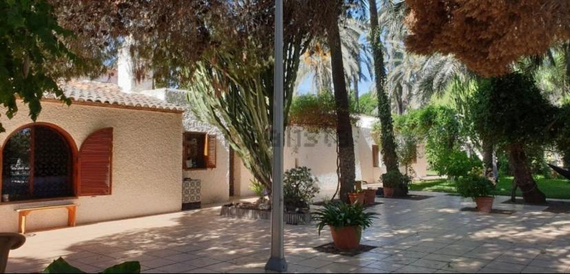 Bed and Breakfast Pink Lemon House Elche Exteriér fotografie