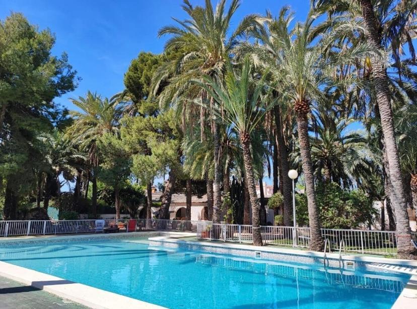 Bed and Breakfast Pink Lemon House Elche Exteriér fotografie