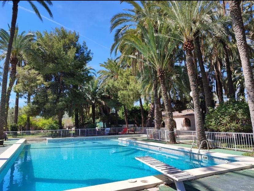 Bed and Breakfast Pink Lemon House Elche Exteriér fotografie