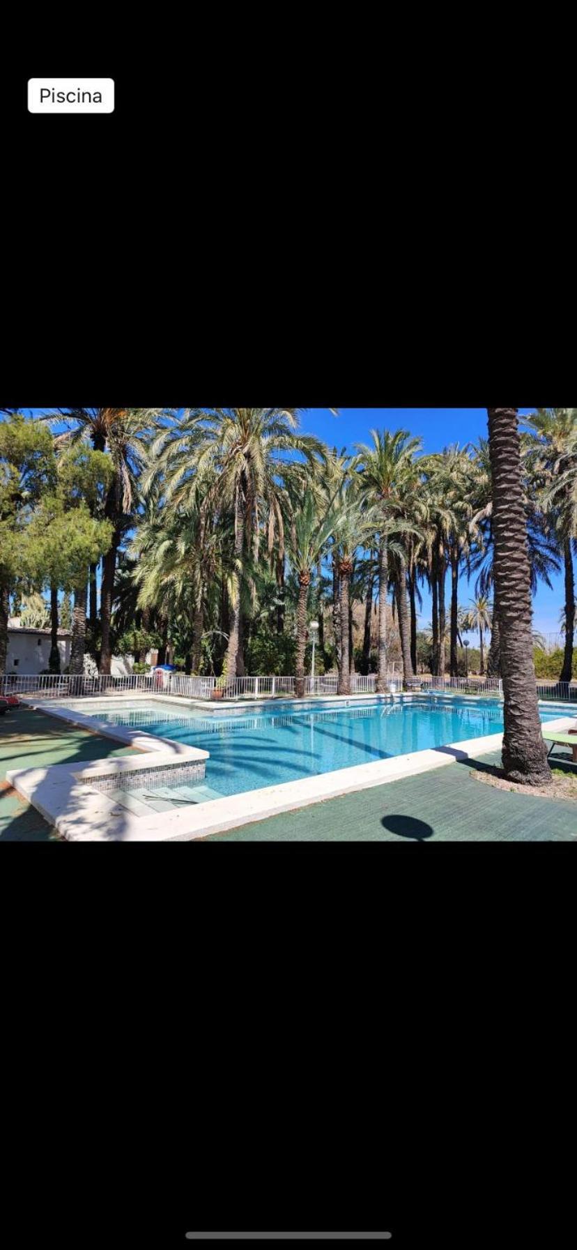 Bed and Breakfast Pink Lemon House Elche Exteriér fotografie