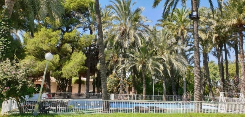 Bed and Breakfast Pink Lemon House Elche Exteriér fotografie