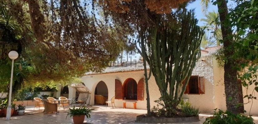 Bed and Breakfast Pink Lemon House Elche Exteriér fotografie