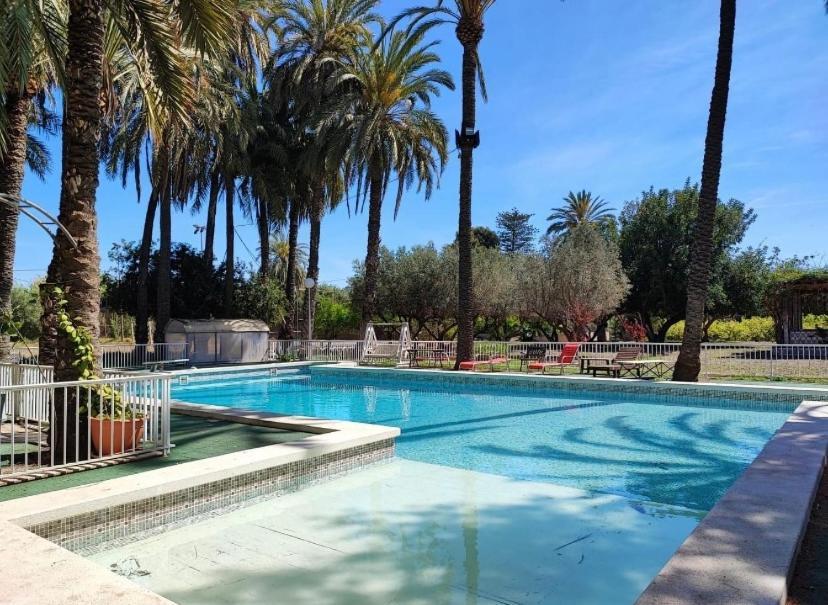Bed and Breakfast Pink Lemon House Elche Exteriér fotografie